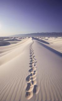 A photorealistic image of a vast expanse of the white sands stretches out before you, captured in an hazy and mysterious light The sky is a deep shade of purple, casting long shadows across the sand The air is thick with the scent of saltwater and the sound of waves crashing against the shore can be heard in the distance