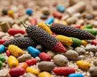 Digital artwork featuring a variety of colorful elements, including a long pepper, rubble, and a soft focus on the background The image has a bokeh effect
