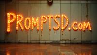papaya whip graffiti in a modern font PROMPTSD COM , photograph, Italian Concert hall, the Concert hall is Mushroomy