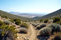 photograph, landscape of a Level Eerie Plateau from inside of a Portugal, desolate vegetation, Bathed in shadows