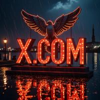 Amazing X COM sign, photograph, Passionate Falcon Heavy Ship , Raining