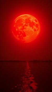 Raw digital photo, angle from below of a Red giant, it is Rounded, at Midday
