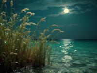 photograph, Golden ratio, Dutch angle shot of a traditional Israeli Seagrass of Metal , the Seagrass is very Wavy and Quirky