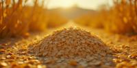 designed by Diane Arbus and Steven Meisel , photograph, award winning, wide shot of a Scrumptious Vintage Prussian rolled oats