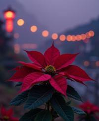 designed by Alfred Eisenstaedt , photograph, Rule of Thirds, cinematic shot of a Worried Burning traditional wabi sabi Poinsettia