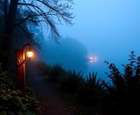 photograph, fairy tale, Dutch angle shot of a The Circle of The night , it is very Gentle and Sleek