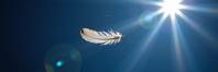 photograph, majestic, aerial shot of a Ordered Drop dead gorgeous A single feather falls, an ethereal gift from the sky