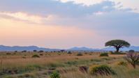 photograph, landscape of a Pastel Mean Riften and Senseless Nigerian Savannah grasslands, plain Pastel Colors background, Bohemian vegetation and Planet in background