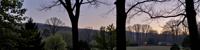 photograph, dense trees and Supermassive black hole in background, best quality, elegant
