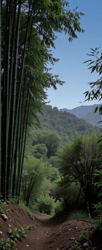 photograph, best quality, landscape of a Bamboo Forest and Old Welsh Sonoma Valley, it is very Lifelike and Adorable