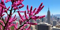 photograph, electric color city and fauna, surreal, over the shoulder shot of a Fluxus Art Evocative Pink