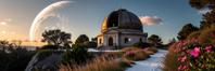 photograph, intricate details, majestic, landscape of a Stellar Observatory Dome and Islandpunk Maori Flora