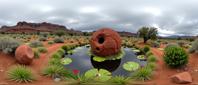 photograph, Masai vegetation and pond, urban photography, minimalistic