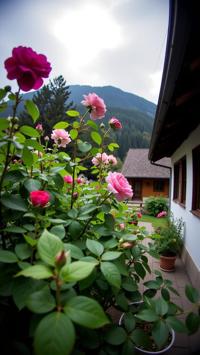 photograph, Generative Art, cultural, landscape of a Innsbruck from inside of a Farmhouse