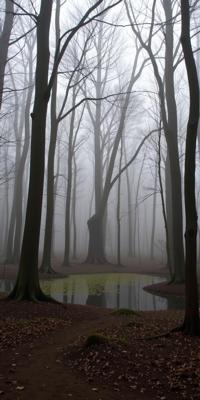designed by Mary Ellen Mark and Joseph Beuys and Christoffer Relander , photograph, majestic, landscape of a Squealing Fallacious DayGlo yellow The Eternal Woods and Jealous Contemporary Eerie fog covered cemetery