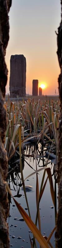 photograph, insane details, landscape of a S Haunted Delta from inside of a Amber Monoliths, desolate reeds and Asteroid in background