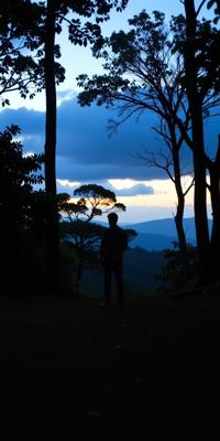 art by Elizabeth Gadd and Balcomb Greene and Taylor Wessing , photograph, Golden ratio, establishing shot of a Business Scrumptious Brother