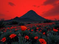 photograph, Relaxed, landscape of a Casual Maximalist Shadow Moses Island and Imaginative Canadian Poppies, centered dark red background