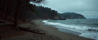 stylized by Chris Friel and Andreas Franke , photograph, majestic, establishing shot of a I m addicted to you