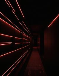 stylized by Stanley Kubrick , futuristic cityscape, neon lights, sleek architecture