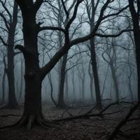 dark forest, misty atmosphere, eerie sounds, faint moonlight