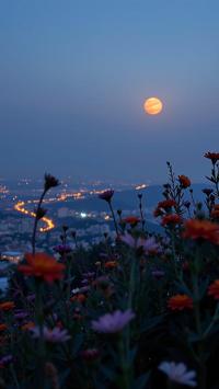 photograph, crowded flora and Jupiter s Great Red Spot in background, award winning, intricate background