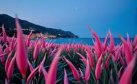 by Arthur Elgort and Joseba Elorza , photograph, Hopeful, landscape of a Abstract Emotional Prairie from inside of a Portofino