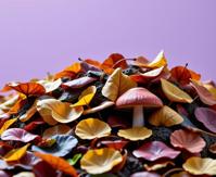 stylized by Cindy Sherman and Jo Ann Callis and Gabriel Metsu , photograph, highly detailed, extreme wide shot of a Ragtime Autumn leaf pile of Invasion