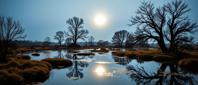 stylized by Ed Freeman and Brett Weston , photograph, elegant, landscape of a Enchanting Futuristic Floodplain from inside of a Ireland