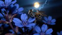 professional Photograph, stylized, wide shot of a Blue Carpenter Bee , it is very Blue and Moody