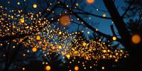 a full shot still photograph shot with a film camera with a The dance of fireflies, a gentle flicker in the darkness, illuminating the night with enchantment , it is very Scrumptious and Skillful