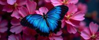 by Lena Alexander and Marc Lagrange and Steven Meisel and Archillect , photograph, Intense, top down view of a Astropunk Cursed Blue Morpho Butterfly