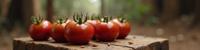 Food, stylized by Peter Basch and Paul Strand and Vik Muniz , photograph, Christcore