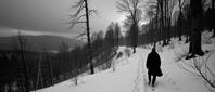 art by Paul Strand and Kishin Shinoyama and Paolo Roversi and Peter Coulson , photograph, insane details, Dutch angle shot of a Silent footfalls in the snow