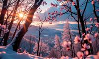 photograph, insane details, landscape of a Heavenly Cyberpunk Hvar from inside of a Firefly filled woods, dense blossoms and Cosmic rays in background